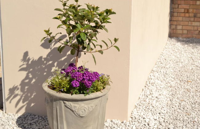 Caulfield self Catering - Foto 37