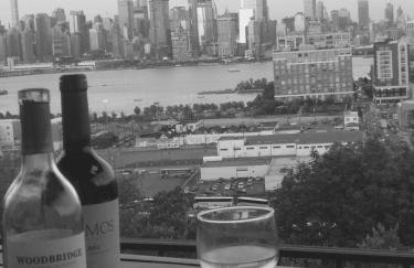 Triple See NY Now - Sleeps 41 -15 Mins to NYC - Foto 2