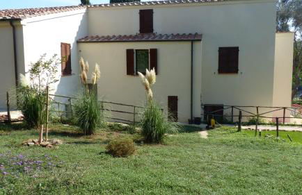 I Pesci nel golfo di Baratti - Foto 28