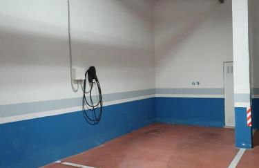 Estrelicia - Photo 44