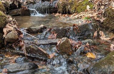 Serene & Cozy - Peaceful View - Fireplace - Creek - Foto 8