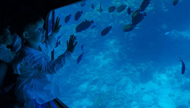 Make memories that will last a lifetime