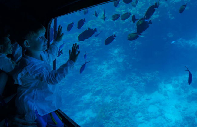 Paseo en barco con visión submarina por el Mar Rojo - Foto 5