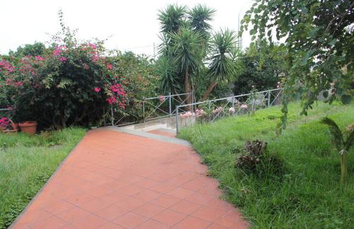 aranceto dell'Etna - Foto 55