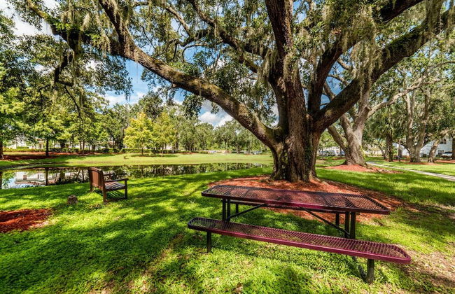 Lucaya Vacation Homes - Foto 79