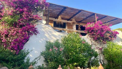 Villa LILY BAY baie de Santa Giulia-Porto Vecchio - Foto 5, Garden view