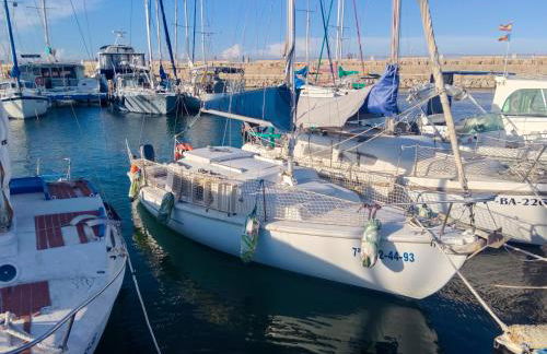 Jack Sparrow - Foto 2