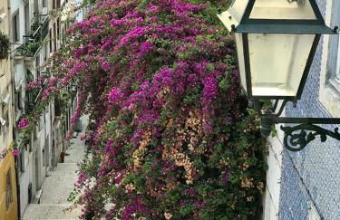 Beach & City - Trafaria - Photo 42