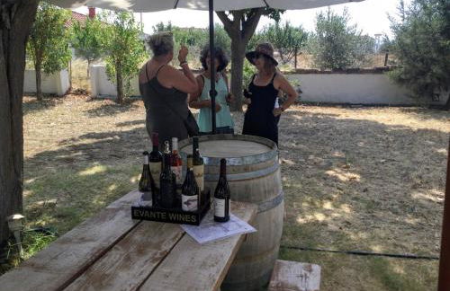 Vrisaki 81400, Lemnos Island - Foto 30