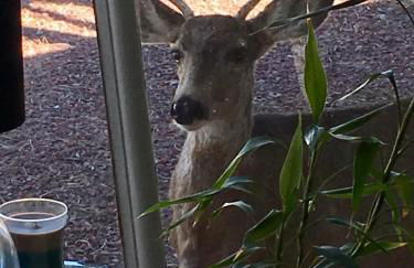 3bdmid-century Modernhot Tub, Grill, Close to DT - Foto 60