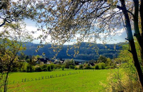Eifel-Ferienhaus Lavendel - Photo 46