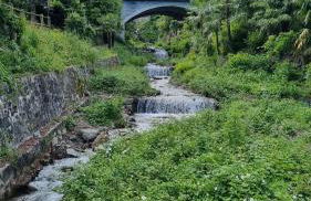 Lakeview Casa Camelia 21 - Foto 69