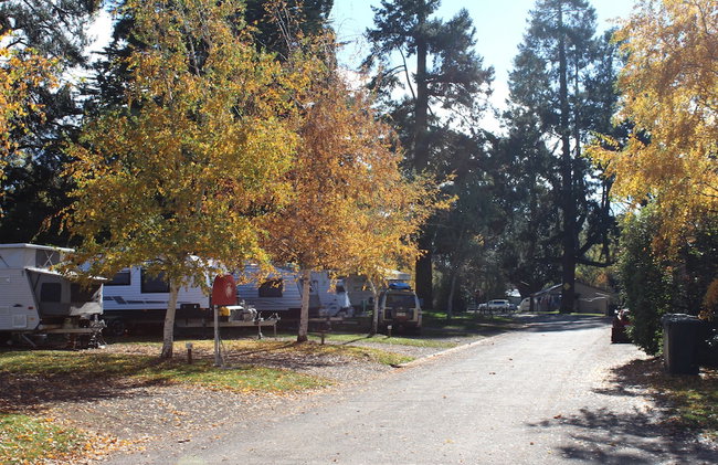 Daylesford Holiday Park - Foto 80