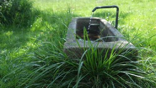 Hanauerhof - Foto 3, Garden