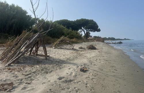 Appartement n 216 Moriani plage - Foto 35