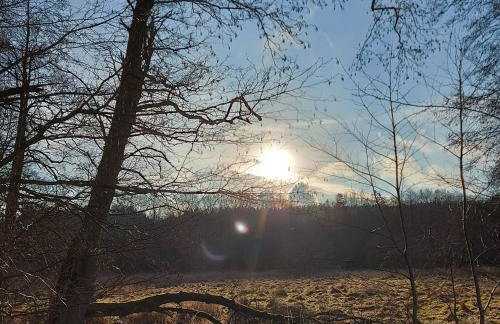 Calm House Krzynia - dom nad jeziorem do wynajęcia - Foto 45