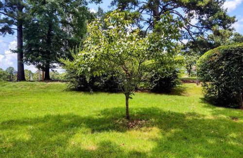 #08 - One Bedroom Lakeview Cottage-Pet Friendly - Foto 15