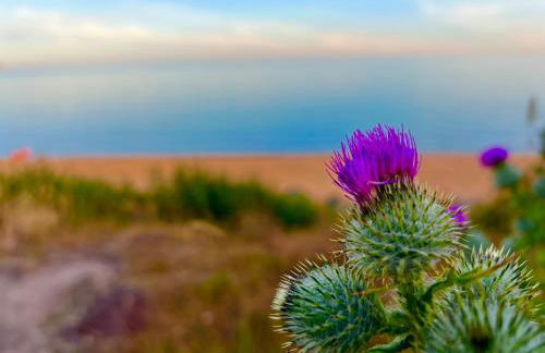 Jungle lodge - Photo 46