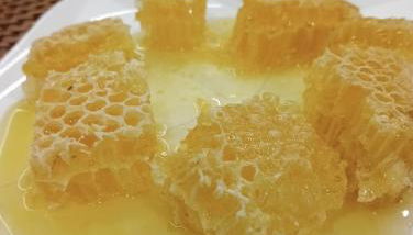 La casa delle api - Foto 3