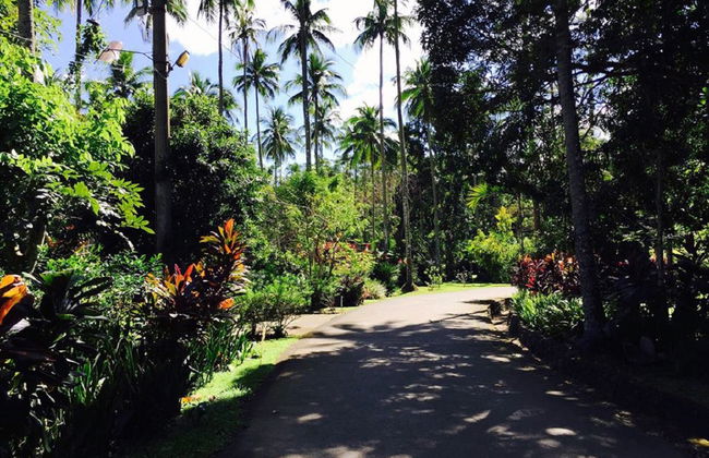 Découvrir la Vallée Cachée - Photo 4