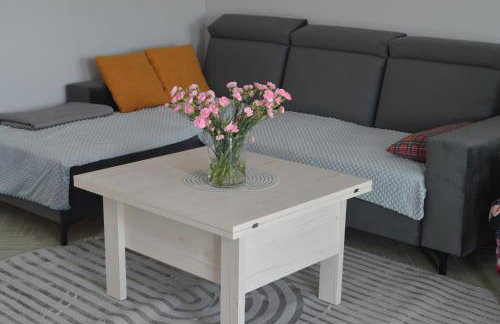 Apartamenty Szepty Mazur - Foto 24