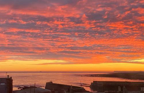 Driftwood - Photo 41