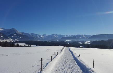 Ferienwohnung am Eichwald - Photo 42