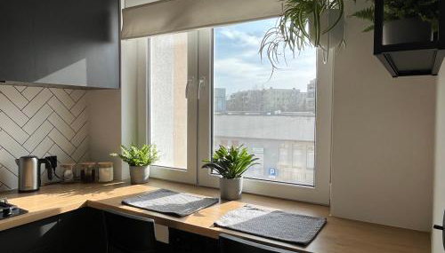 Luksusowy loft nad jeziorem Swarzędz - Poznań TV wi-fi pralko-suszarka piekarnik - Foto 5