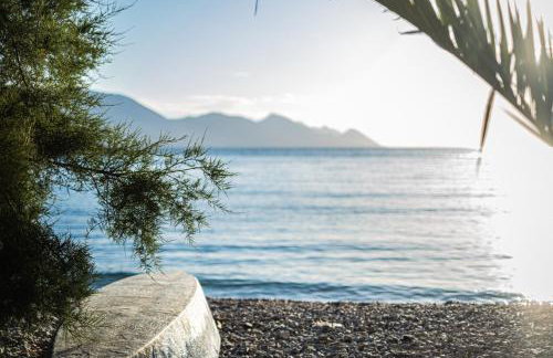 Nera Etwa House - Photo 49