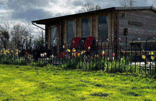 Silver Springs Farm Lodge - Foto 4