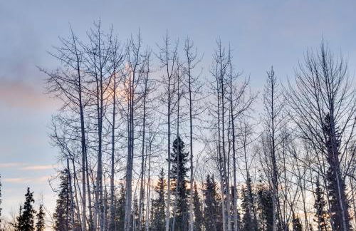 Cozy Soldotna Vacation Rental Near Kenai River! - Foto 24