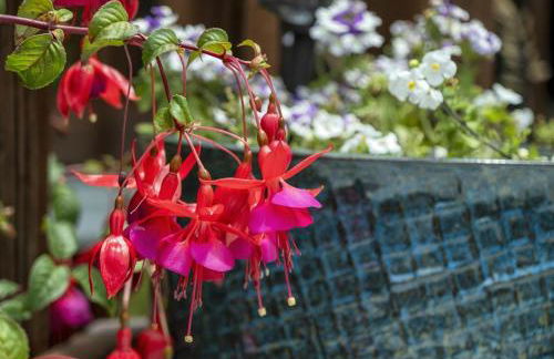 Coastal Hideaway - Foto 31