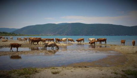 Kivotos Epavlis - Foto 2