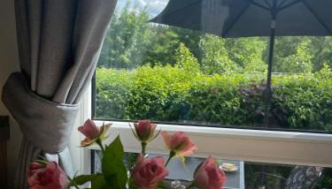 Tinyhaus Lieblingsplatz - Foto 2, Garden view