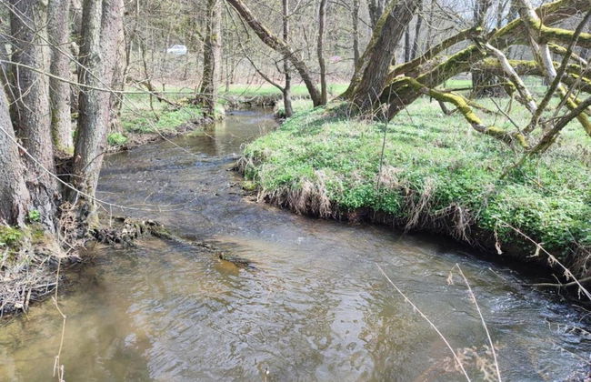 Bad Elster Apartment in Sohl - Foto 38