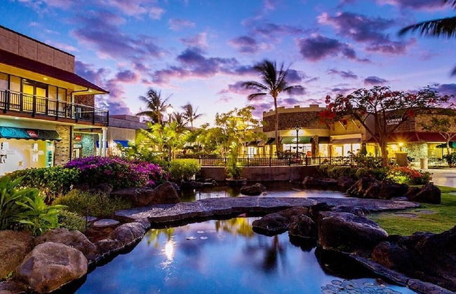 Ainamalu at Waikoloa Beach Resort - Photo 28