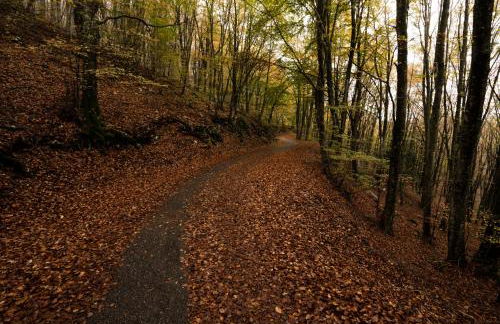 CASA VACANZA LE TERRAZZE Holiday home and spa - Foto 18