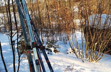 Domek pod lasem podlaskie - Foto 42