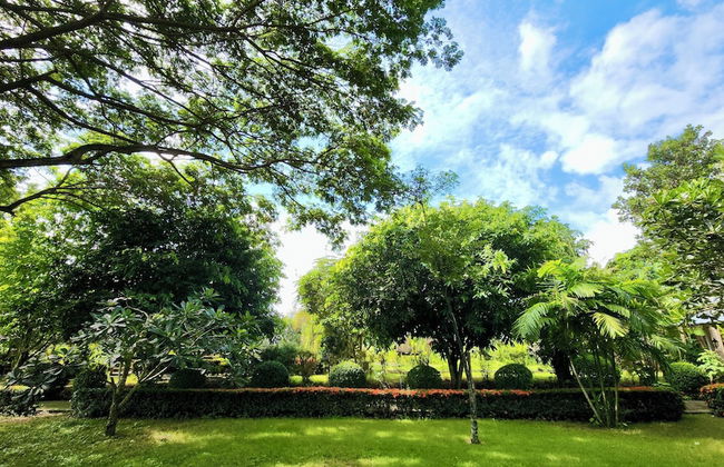 Natura Ravee Greenstay - Photo 77