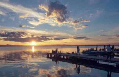 Ruzafa experience Oceanografic ciencias - Photo 5