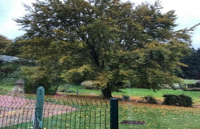 Ardennes Stay for 21 Guests - Photo 26