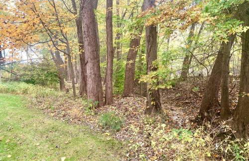 The House Hotels - 4 Beds, huge yard, secluded, and central! - Foto 19