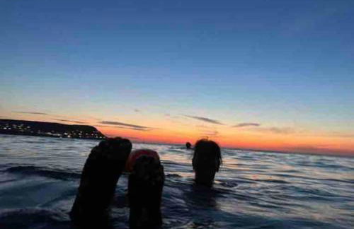 Cottage in the Countryside Near New Quay West Wales - Photo 20