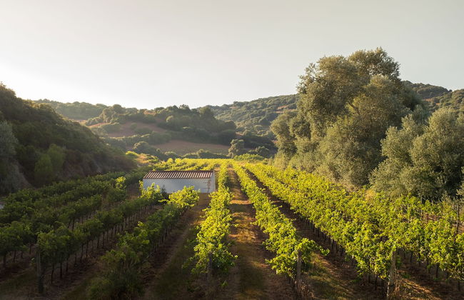 Hotel Rural Sant Patrici - Foto 26