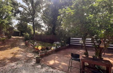 Mas Provençal au Cannet des Maures - Foto 50