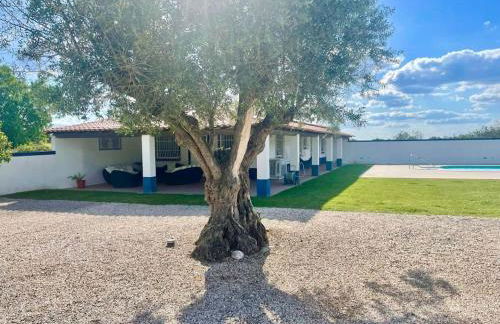 Casa das Oliveiras - Foto 36