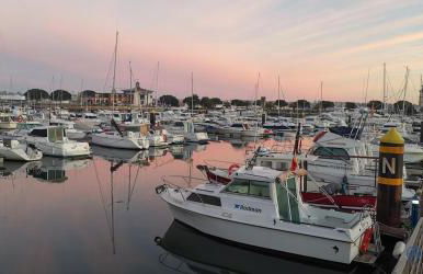 Vut la huertona - Foto 30