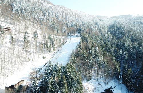 Residenza Riva Wellness Apartment Spa - Foto 37