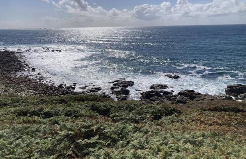 Treovis Farm - Photo 43