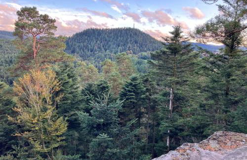 Le printemps, gîte nature - Foto 15